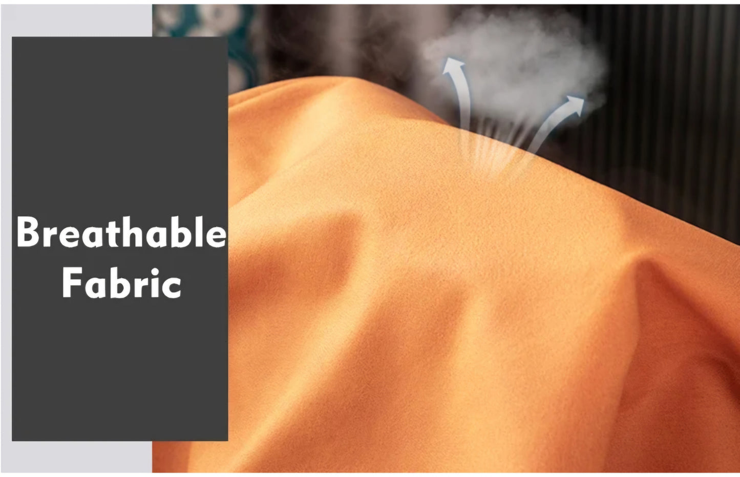 luxury pet home and car seat